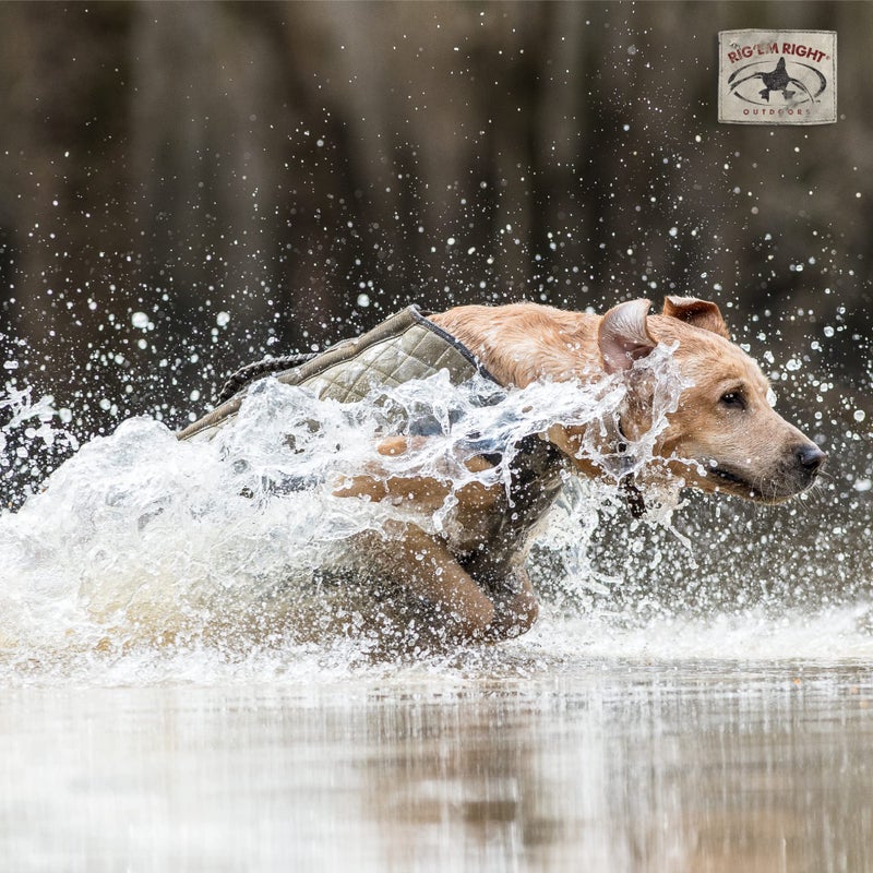 Rig Em Right Rig'Em Right Waterfowl Bloodline Elite Dog Vest for Duck Hunting with Ultra Comfortable 3mm Neoprene 3-Layer Construction, Flotation Foam, Heavy-Duty Canvas, and More (Optifade Timber, M) - Image 5